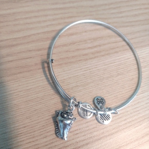 Alex and Ani Conch Shell Rafaelian Silver Charm Bangle - Picture 4 of 5